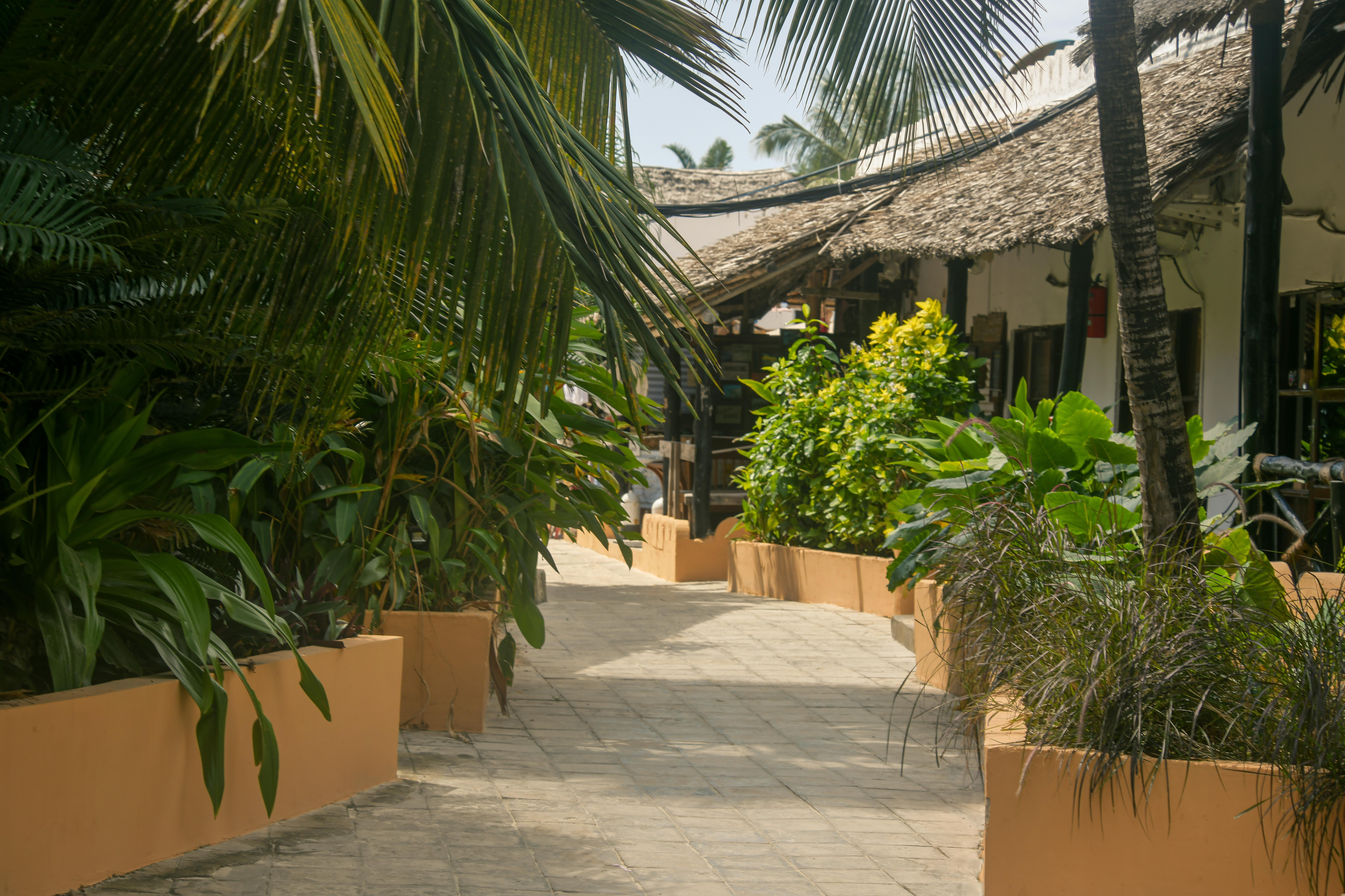 Amaan Beach Bungalows Nungwi Exterior foto